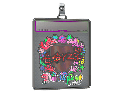 Sticker Slab | torzsi (Holo) | Budapest 2025