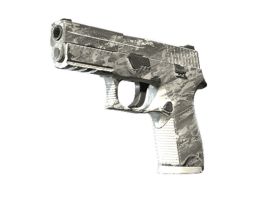 P250 | Sleet - Field-Tested