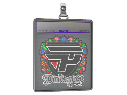 Sticker Slab | paiN Gaming (Embroidered) | Budapest 2025