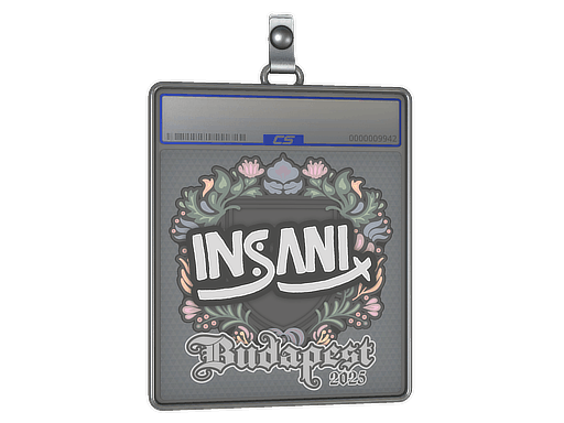 Sticker Slab | insani | Budapest 2025