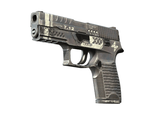 P250 | Re.built - Field-Tested