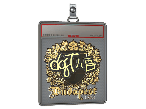 Sticker Slab | dgt (Gold) | Budapest 2025