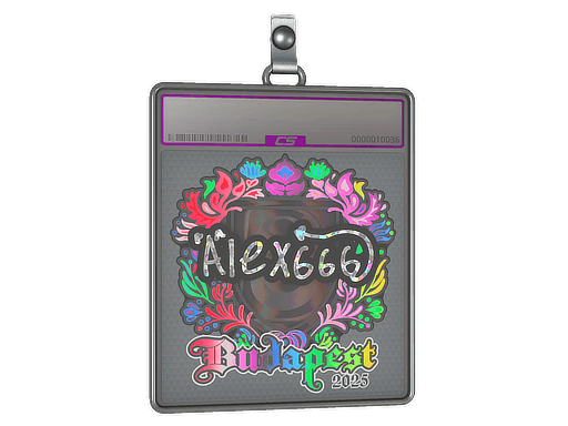Sticker Slab | alex666 (Holo) | Budapest 2025