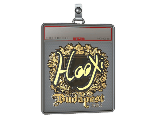 Sticker Slab | HooXi (Gold) | Budapest 2025