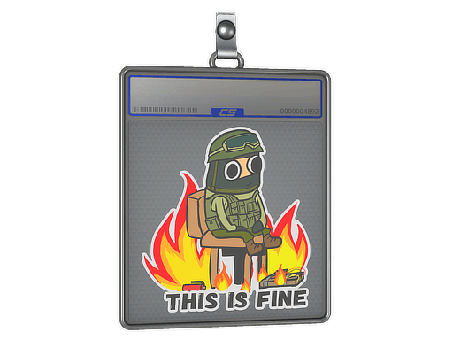 Sticker Slab | This Is Fine (CT)