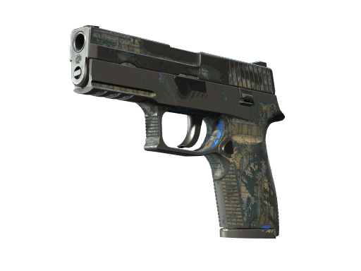 P250 | Exchanger - Battle-Scarred