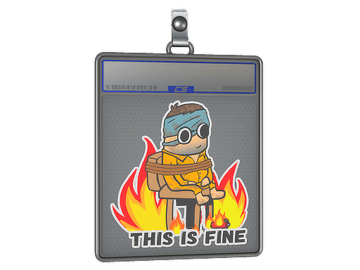 Sticker Slab | This Is Fine (H)