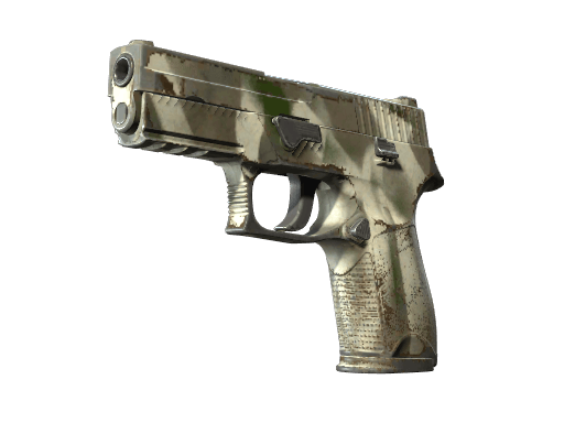 P250 | Bone Mask - Field-Tested