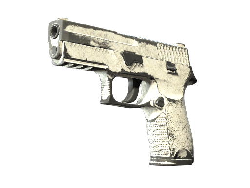 P250 | Whiteout - Battle-Scarred