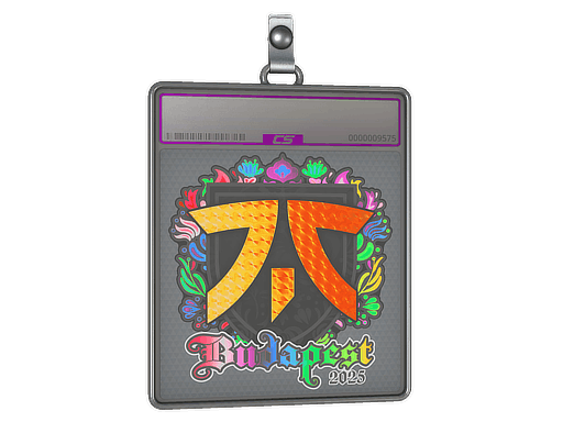 Sticker Slab | fnatic (Holo) | Budapest 2025