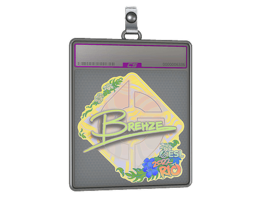 Sticker Slab | Brehze (Holo) | Rio 2022