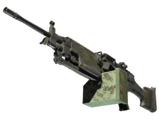M249 | Jungle DDPAT