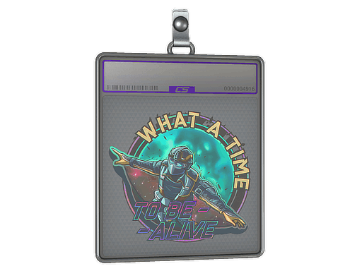 Sticker Slab | Wingsuit (Holo)