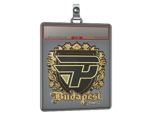 Sticker Slab | paiN Gaming (Gold) | Budapest 2025
