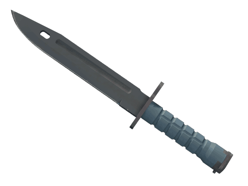 ★ StatTrak™ Bayonet | Night