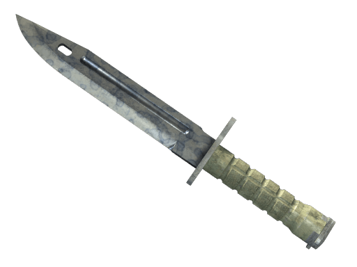 ★ StatTrak™ Bayonet | Stained