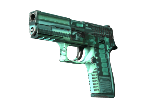 P250 | X-Ray - Field-Tested