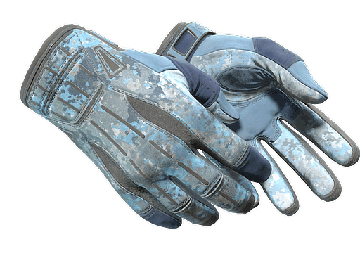 ★ Sport Gloves | Frosty - Field-Tested