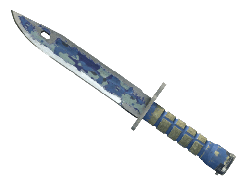★ StatTrak™ Bayonet | Bright Water