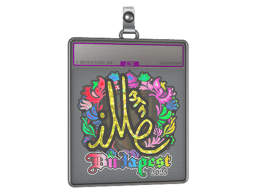 Sticker Slab | iM (Holo) | Budapest 2025