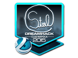 Sticker | steel (Foil) | Cluj-Napoca 2015