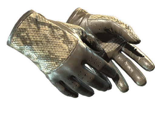 ★ Driver Gloves | Diamondback - Field-Tested