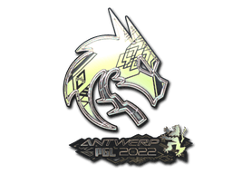 Sticker | Team Spirit (Holo) | Antwerp 2022