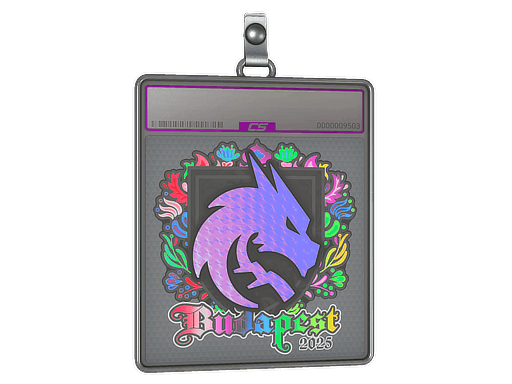 Sticker Slab | Team Spirit (Holo) | Budapest 2025
