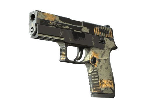 P250 | Modern Hunter - Battle-Scarred