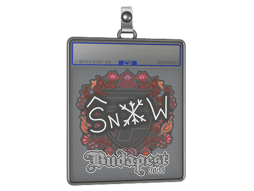 Sticker Slab | snow | Budapest 2025