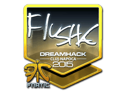 Sticker | flusha (Foil) | Cluj-Napoca 2015