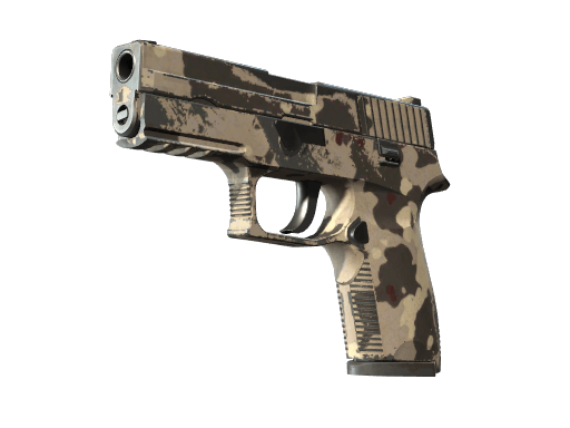 P250 | Black & Tan - Field-Tested