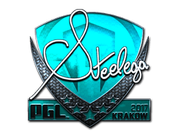 Sticker | steel (Foil) | Krakow 2017