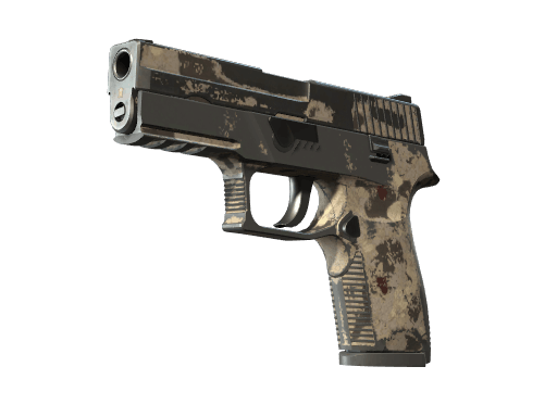 P250 | Black & Tan - Battle-Scarred