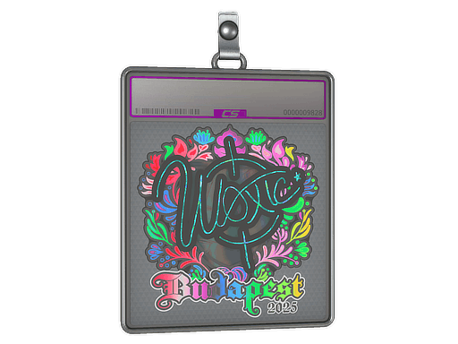 Sticker Slab | woxic (Holo) | Budapest 2025