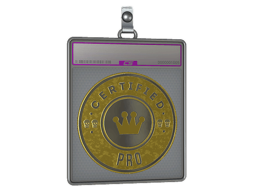 Sticker Slab | The Pro (Foil)