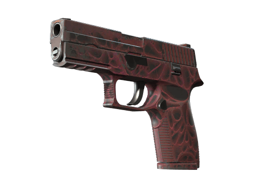 P250 | Contaminant - Field-Tested