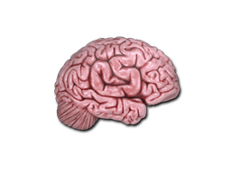 Sticker | CS On The Mind