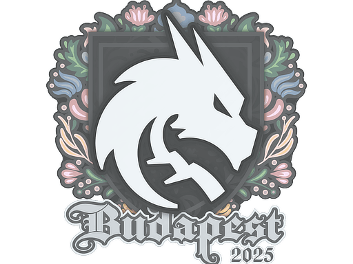 Sticker | Team Spirit | Budapest 2025