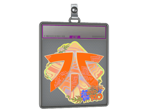Sticker Slab | Fnatic (Holo) | Rio 2022