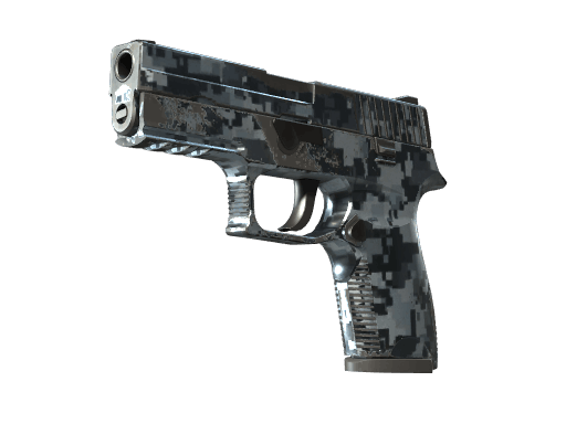 P250 | Steel Disruption - Field-Tested