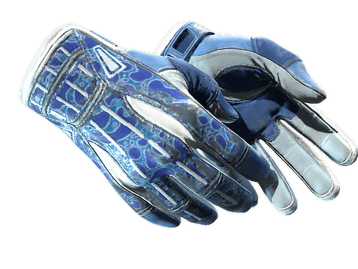 ★ Sport Gloves | Amphibious - Field-Tested