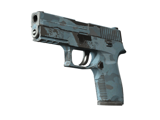 P250 | Forest Night - Field-Tested