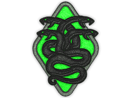 Patch | Hydra