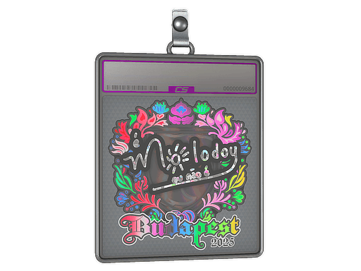 Sticker Slab | molodoy (Holo) | Budapest 2025