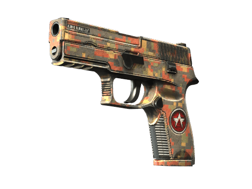 P250 | Red Rock - Field-Tested