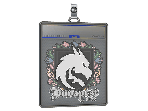 Sticker Slab | Team Spirit | Budapest 2025