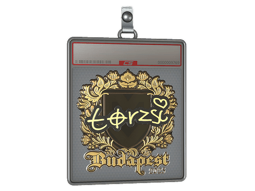 Sticker Slab | torzsi (Gold) | Budapest 2025