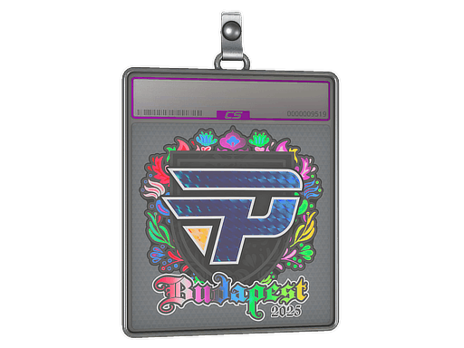 Sticker Slab | paiN Gaming (Holo) | Budapest 2025