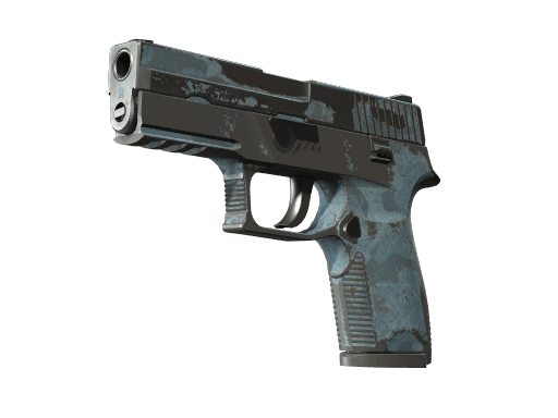 P250 | Forest Night - Battle-Scarred